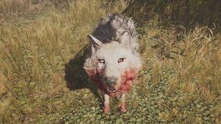 Far Cry Primal SnowBlood Wolf Hunt - Boss Fight