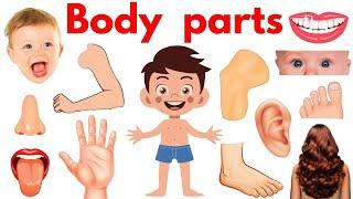 Parts of Body | Body Parts Name | Name of Body Parts in English with Pictures | #bodyparts #Educare