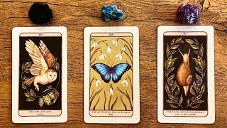 THIS WILL FIND YOU WHEN THE TIME IS RIGHT! | Pick a Card Tarot Reading