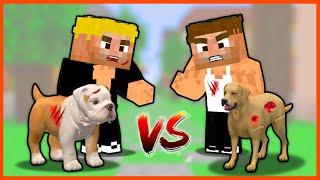 KASLI EFEKAN KÖPEĞİ VS ALİ KÖPEĞİ!  - Minecraft ZENGİN FAKİR HAYATI