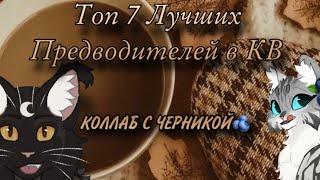 ️Топ 7 Лучших  Предводителей В Котах-Воителях️