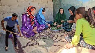 Nomadic Life: Noorbakhsh's Cementing Project & Emotional Family Reunion‍‍