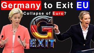 EU on Brink of Collapse as Germany Contemplates Exit from the EU and Euro: What's Going On?