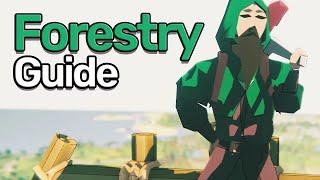 OSRS Forestry Guide (Updated) 🪓 All Forestry Events & Training Spots