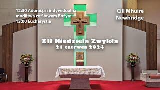 XII Niedziela Zwykła | 16/06/2024