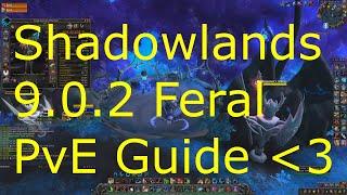 Shadowlands 9.0.5 Feral Druid Guide for PvE - Improve your dps NOW for RAIDS and MYTHIC+!!!
