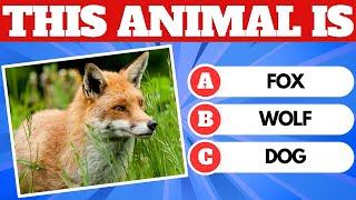 Can You Guess the Animal by Picture?