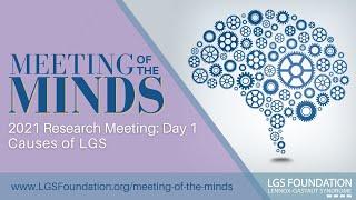 2021 LGS Foundation Meeting of the Minds Research Conference: Causes of LGS