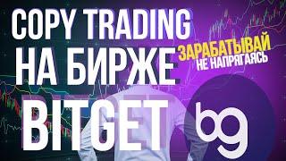 Зарабатывай на бирже Bitget в пару кликов с функцией Copy Trading