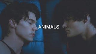 Cyrus  Harlan [BL] ► Wolf Pack | Animals | MV