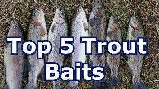 Best 5 Baits for Trout