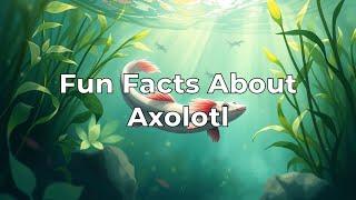 Fun Facts About Axolotl