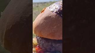 asmr yemek doğada odun ateşinde hamburger #shorts #asmr #doğa #yemek #hamburger #odunateşiyemek #fyp