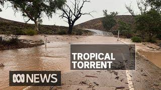 Parts of South Australia inundated by flash flooding as severe storms lashed state | ABC News