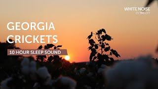 Georgia Summer Evening Crickets Katydids Sleep Sound - 10 Hours - Black Screen