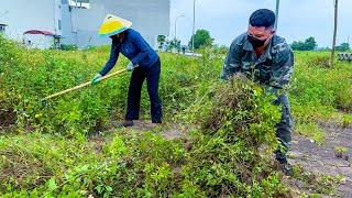 Mowing Overgrown Lawn Handling Weeds on the Sidewalk Using Basic Tools Clear Up BN99