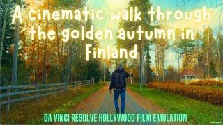 Journey Through Hidden Gems of This Quaint Autumn Town in Finland