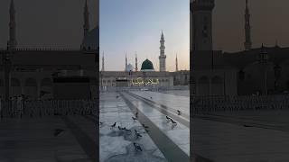 As -Salam-o-Alaika Ya Rasool Allah | Arabic Naat Status | Mubeen Ahmad