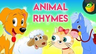 Animal Rhymes | Animal Songs for Kid's | Cartoon Nursery Rhymes Songs For Children