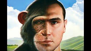 Human & Chimp DNA Similarity? - Georgia Purdom & Kevin Anderson