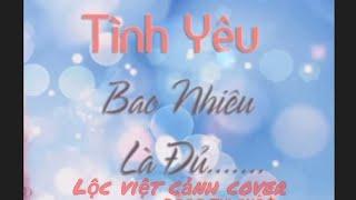 Tình Yêu Bao Nhiêu Là Đủ Remix || Đồng Thị Nhâm || Lộc Việt cảnh Cover