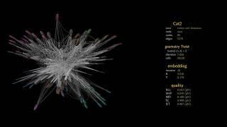 Non-Euclidean brains