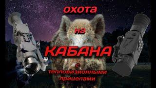 Охота на Кабана. Дальний выстрел ночью c 308Win!