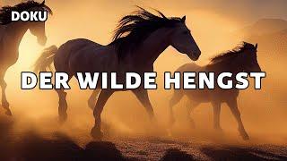 Cloud 1 / Cloud – The Wild Stallion in the Rocky Mountains (Breathtaking Wildlife Documentary)