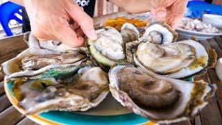 The Oyster King of Thailand - UNCLE TOM’S HUGE OYSTERS and Seafood at Floating Restaurant!