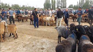 Tergachi qõy bozori bugungi narhlar bilan tanishing 6.09.2024yil