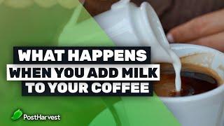 What Happens When You Add Milk to Your Coffee