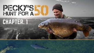 Pecky's Hunt for a 50 | Part 1 | Darrell Peck | Extract