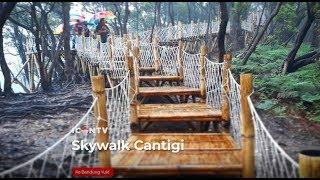 Cantigi Skywalk Ciwidey