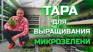 Тара для Микрозелени в чем выращивать