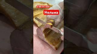 Нельма холодного копчения в коптильне Федотова! Выход из цеха вкусной жирной рыбки #food #вялим