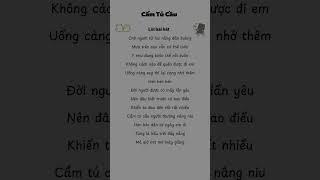 Cẩm Tú Cầu #nhaclyric #nhachaymoingay #nhactamtrang #tamtrang #musiclyrics