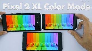 Google Pixel 2 XL New Saturation Color Mode Update & Test