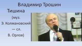 Владимир Трошин - Тишина