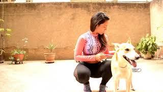 Beautiful latina taking care of her sweet dogs :)