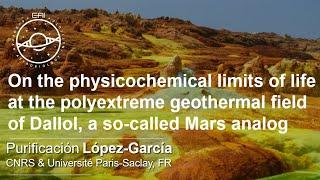 EAI Seminars: On the physicochemical limits of life at the geothermal field of Dallol, a Mars analog