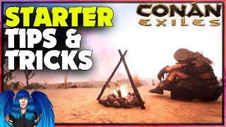 TOP STARTER TIPS EVERYONE NEEDS TO KNOW | Conan Exiles |