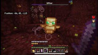 Most Calmest Bedrock Wither Fight