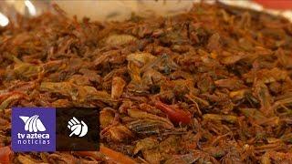 Expertos aseguran que comer chapulines beneficia a la salud