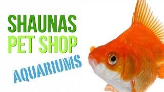 Shaunas Pet Shop: Aquariums