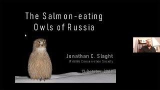 Jonathan C. Slaght • The Salmon-eating Owls of Russia • 10/13/20