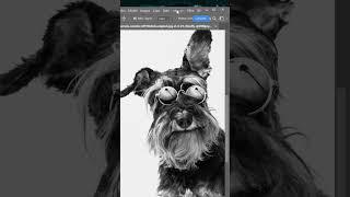 Hack de #photoshop para convertir tus fotos en dibujos de tiza