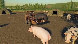 We find the thief and buying new animals | Back in my day 22 | Farming simulator 19