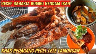 CARA MEMBUAT BUMBU MARINASI IKAN KHAS PEDAGANG PECEL LELE LAMONGAN