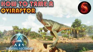 ARK SURVIVAL ASCENDED HOW TO TAME AN OVIRAPTOR