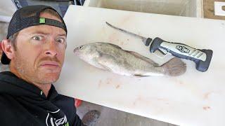 STOP Wasting Your Time on Wrong Fish! Freshwater Drum vs Catfish